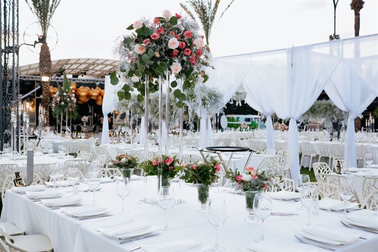 צילום: דיימונדס צלמים