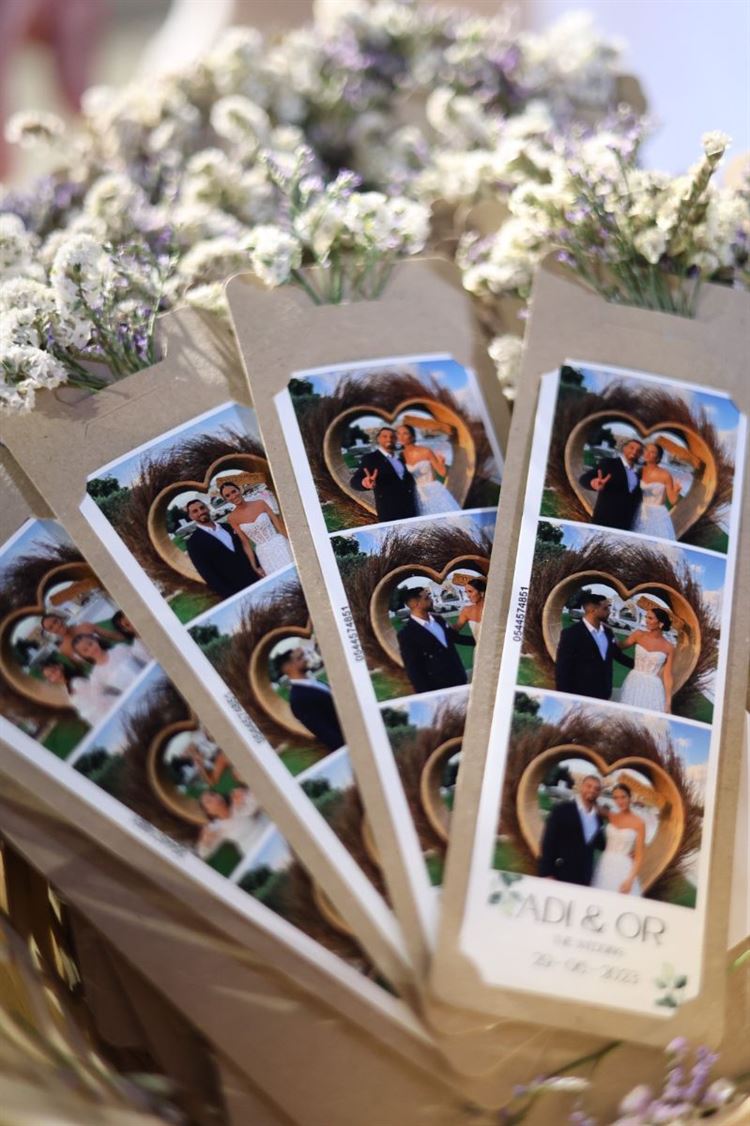 צילום: אלדד צלמים