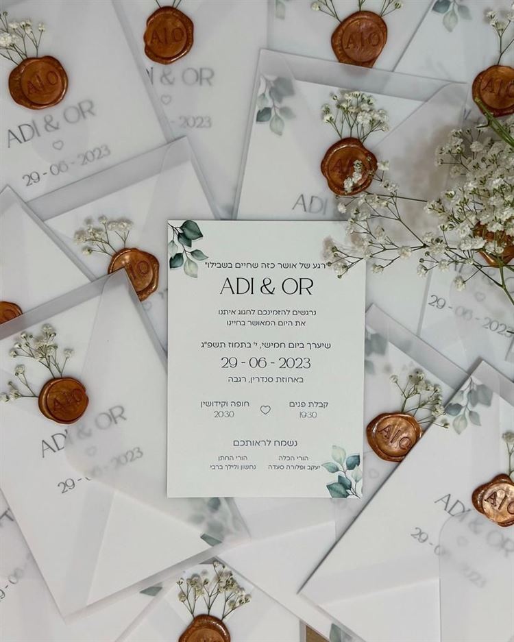 צילום: אלדד צלמים