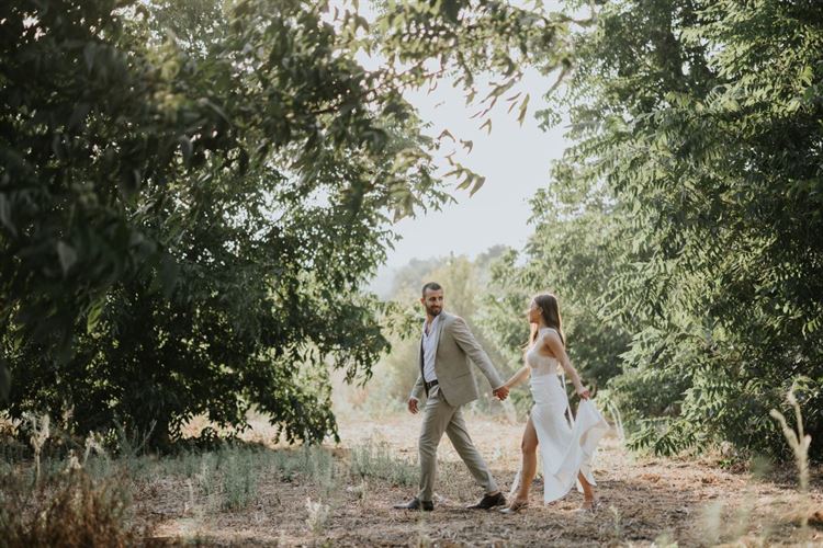 צילום: עידו סיטבון