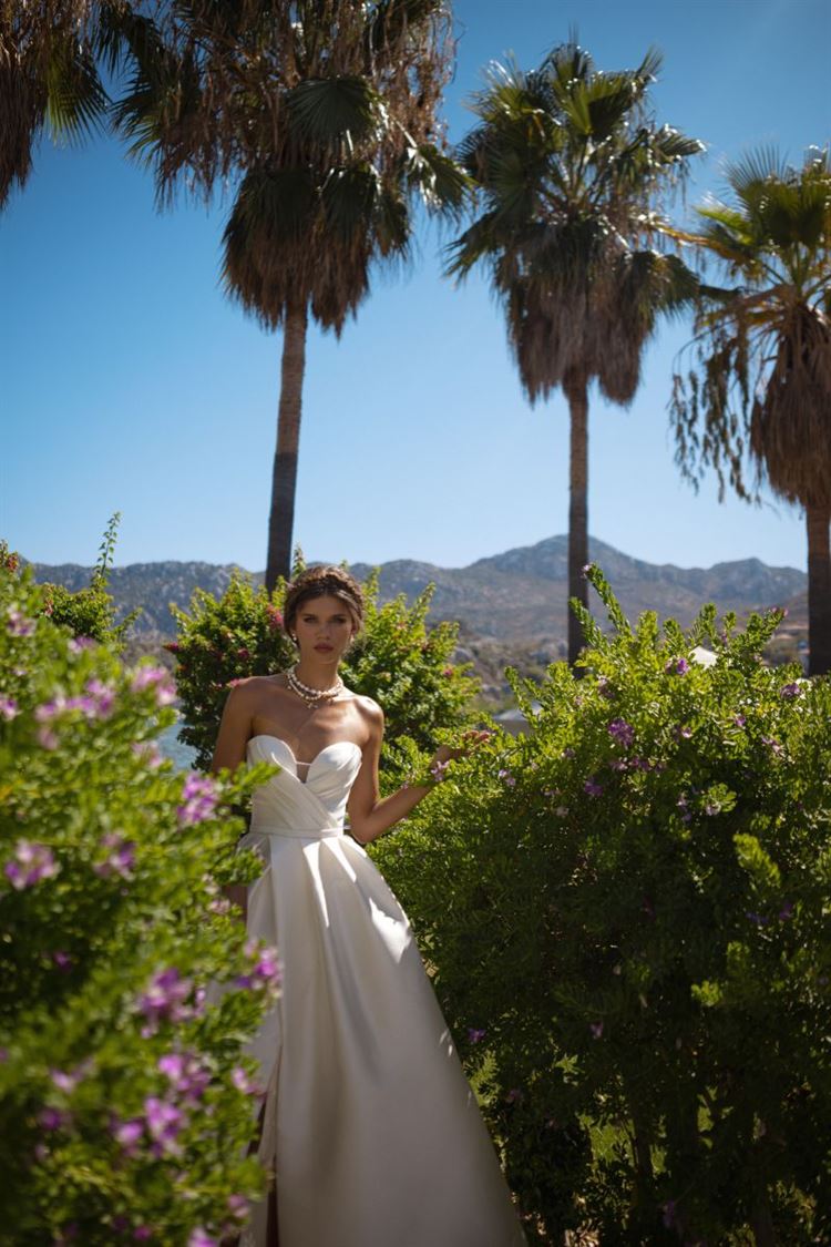 צלם: אלון שפרנסקי