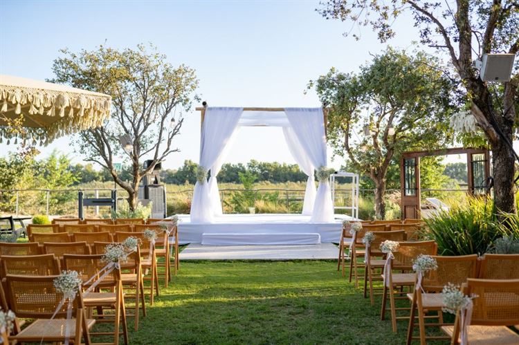 צילום: מתן כצמן