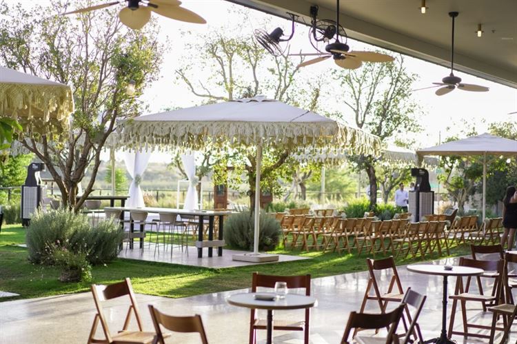 צילום: מתן כצמן