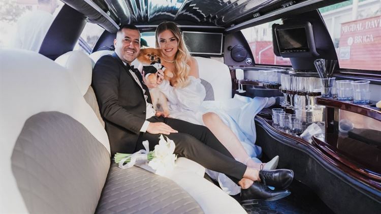 צילום: בני טפירו