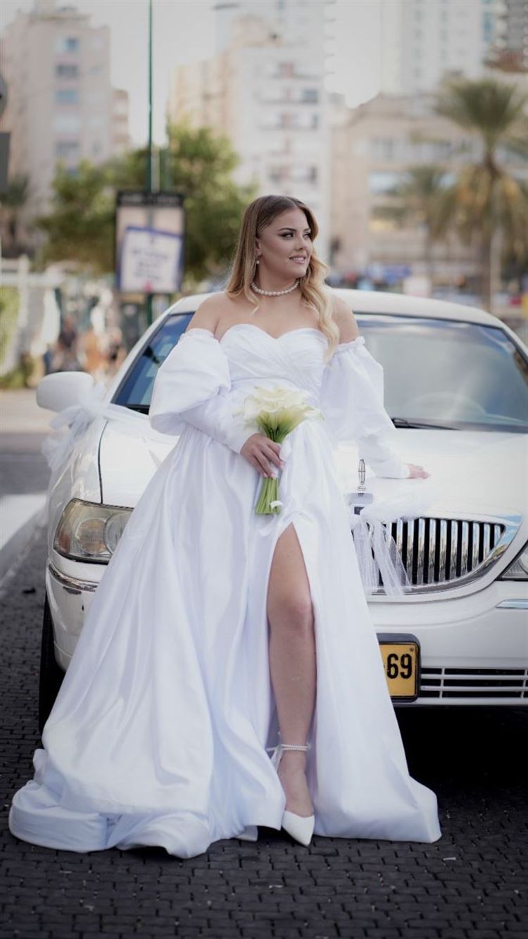 צילום: בני טפירו