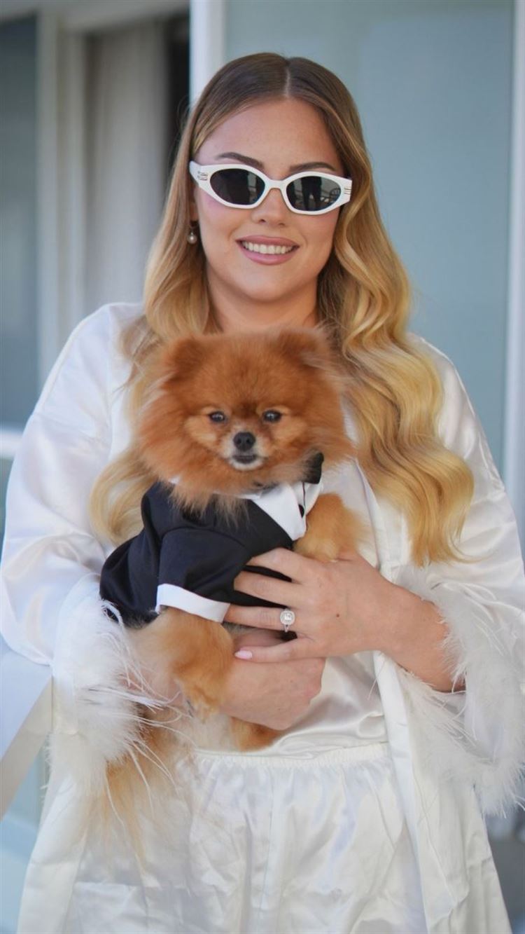 צילום: בני טפירו