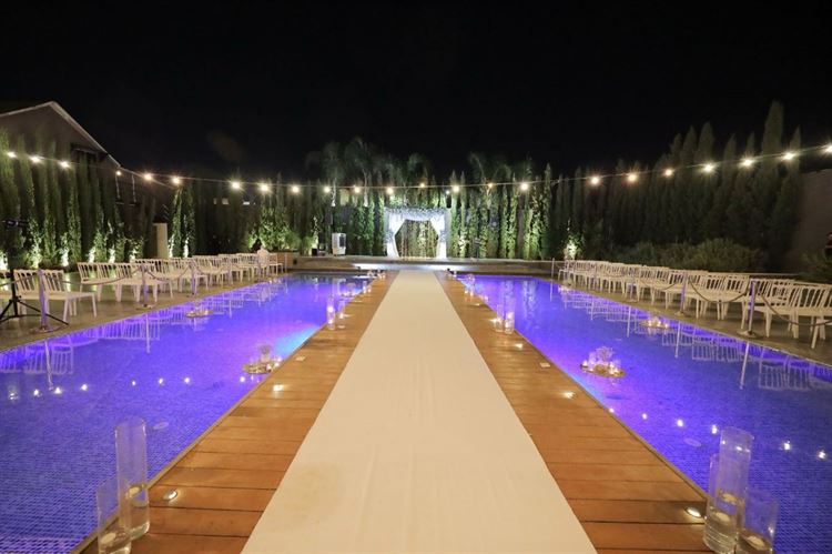 צילום: מיקי סויסה