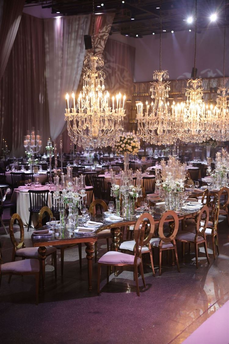 צילום: שלומי זנתי