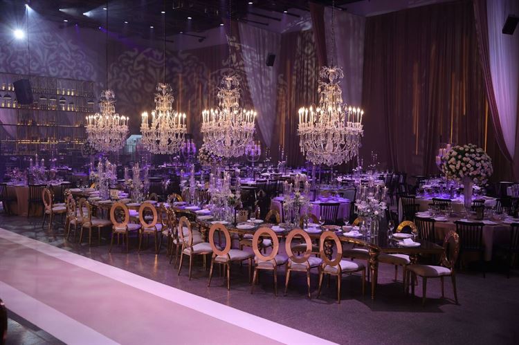 צילום: שלומי זנתי