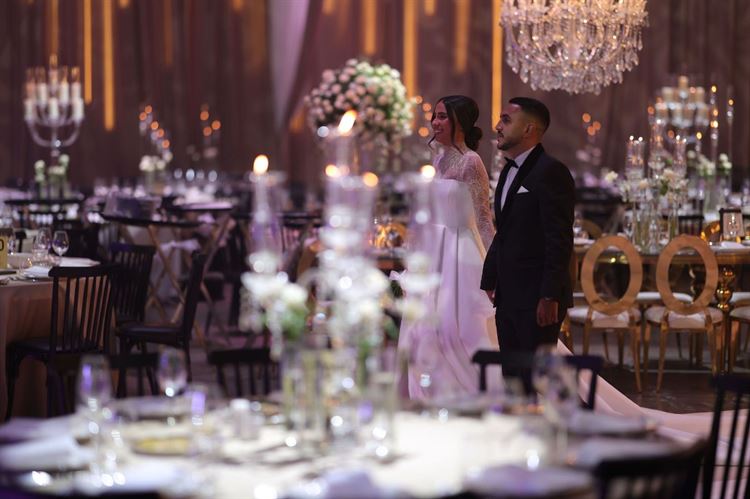 צילום: שלומי זנתי