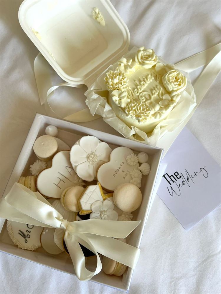 צילום: שלומי זנתי