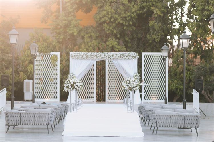 צילום: עדי אלבז