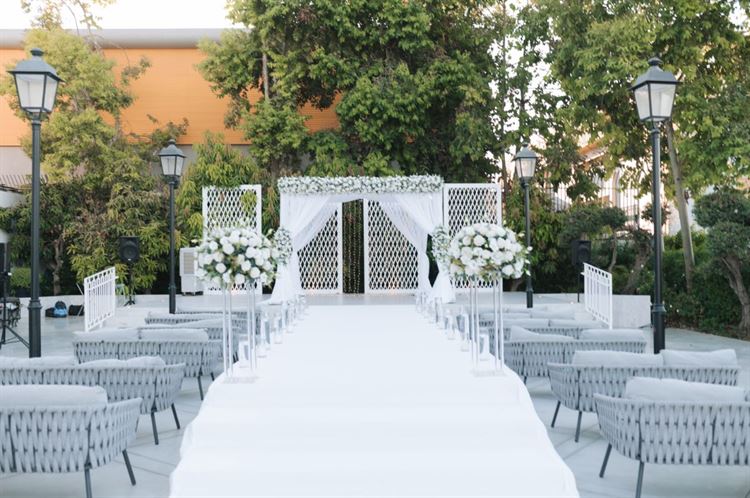 צילום: עדי אלבז