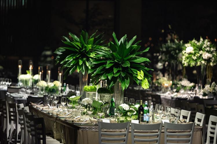 צילום: People photography