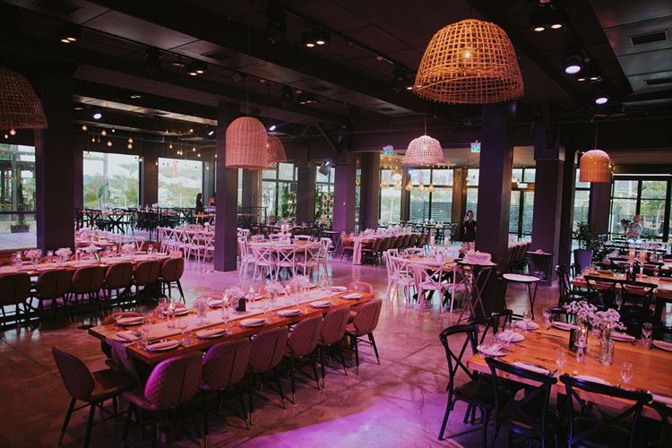 צילום: חן מכלוף