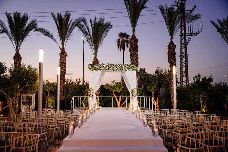 צילום: ירין טרנוס