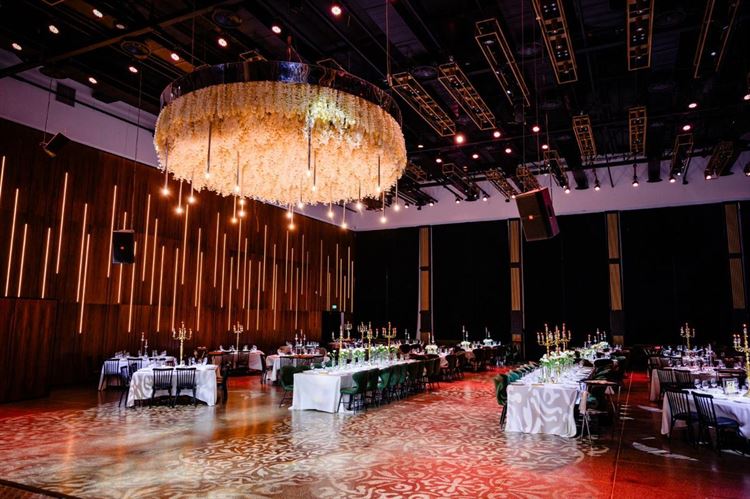 צילום: ירין טרנוס