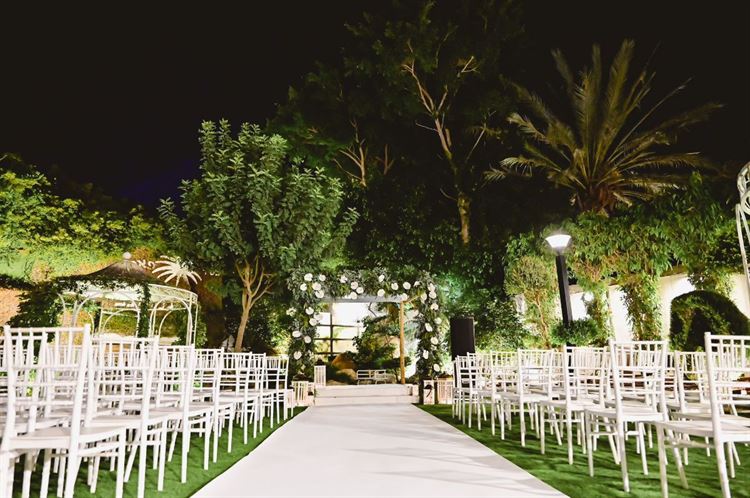 צילום: עידן כנפי