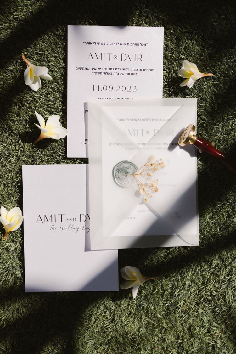 צילום: עידן כנפי