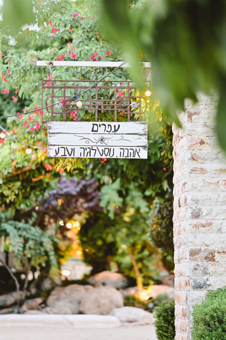 צילום: עידן כנפי