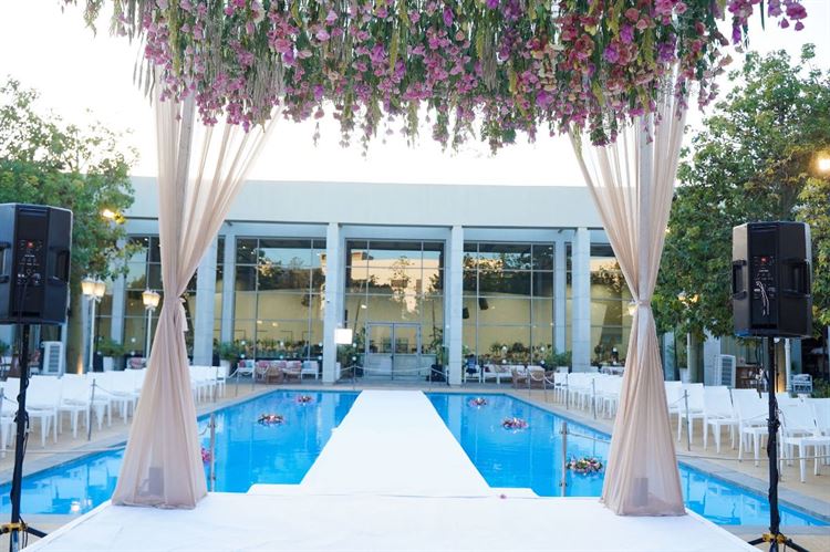 צילום: שי שושן גואטה