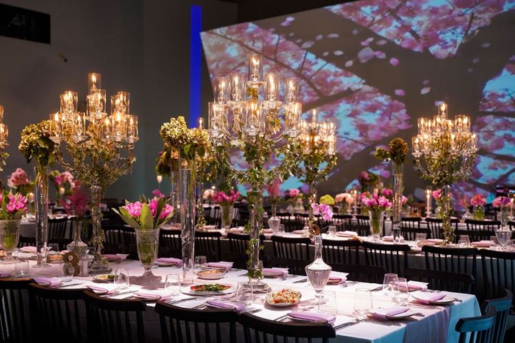 צילום: שי שושן גואטה