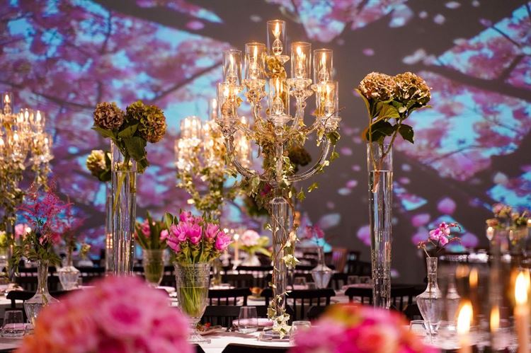 צילום: שי שושן גואטה