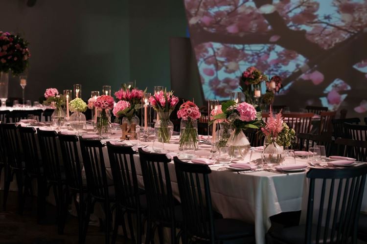 צילום: שי שושן גואטה