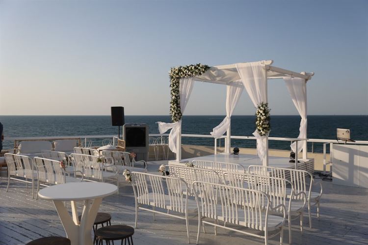 צילום: תמיר איתן