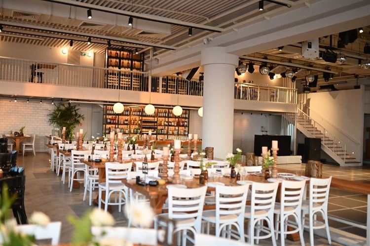 צילום: תמיר איתן