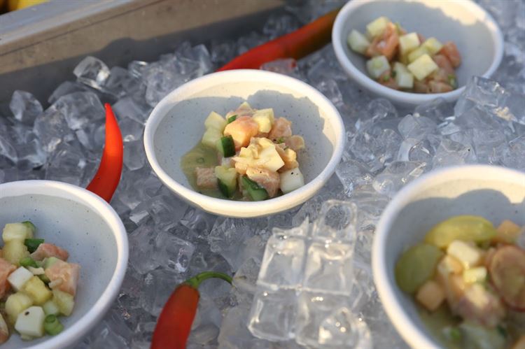 צילום: תמיר איתן