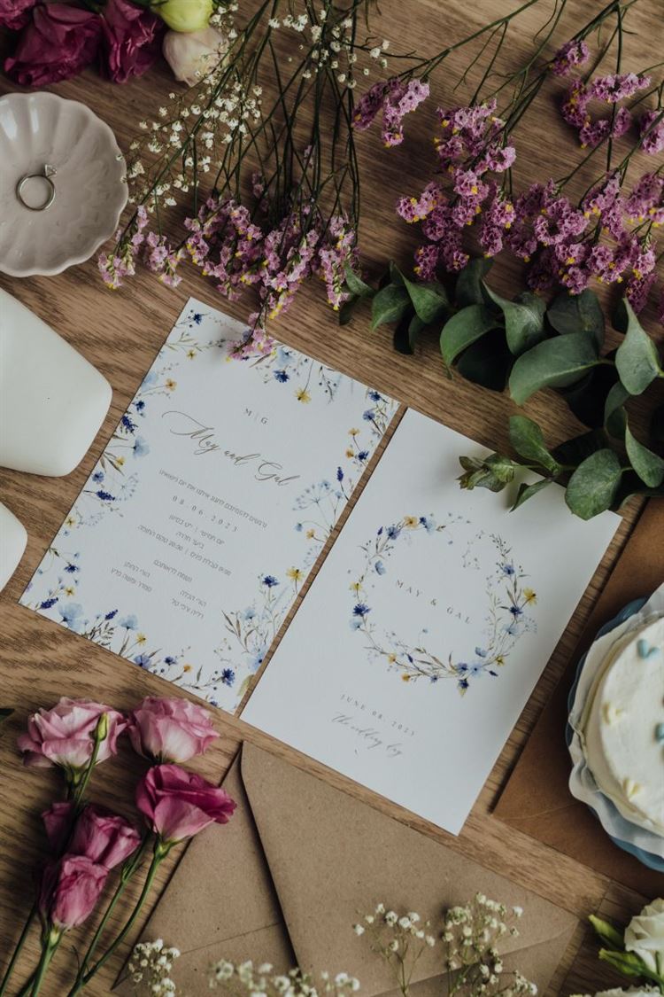 צילום: עידן מרציאנו