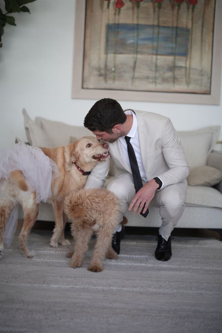 צילום: אלכס ab media