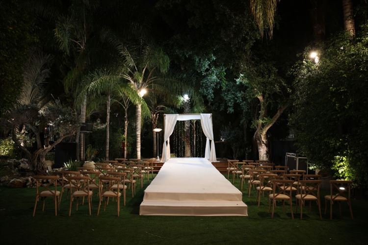 צילום: אלכס ab media