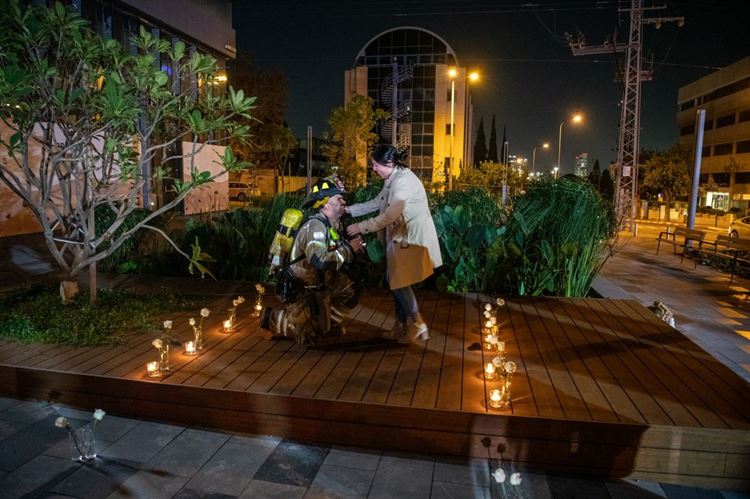 צילום: רון קובי