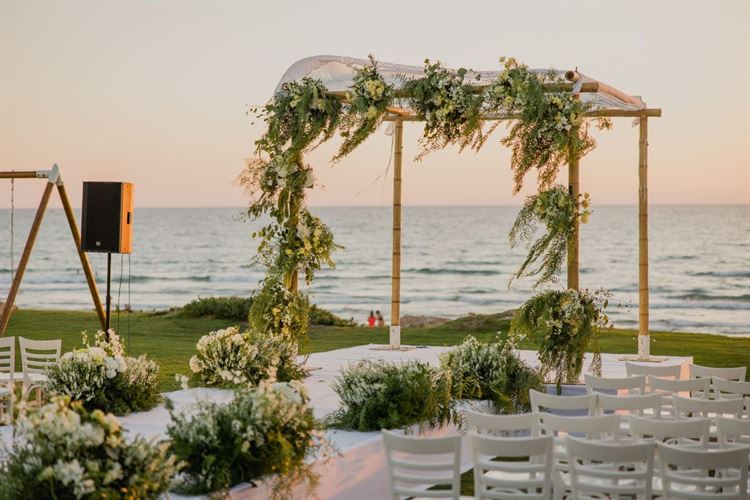 צילום: אלי ראול