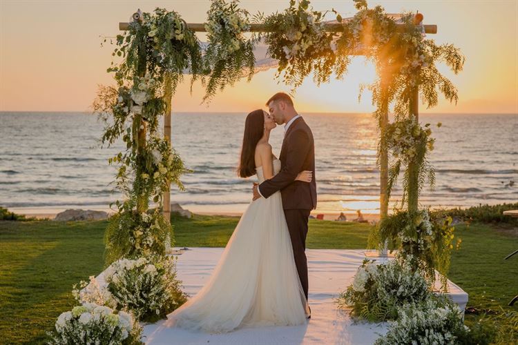 צילום: אלי ראול