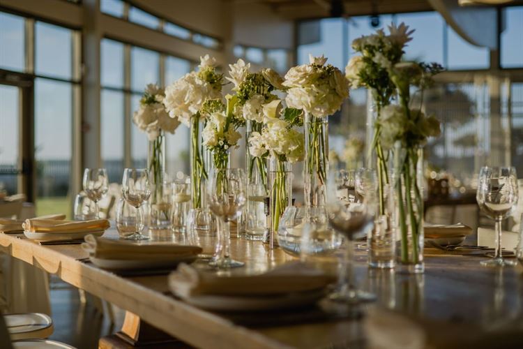 צילום: אלי ראול