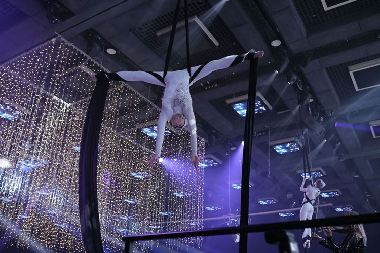 צילום: מיקי סויסה