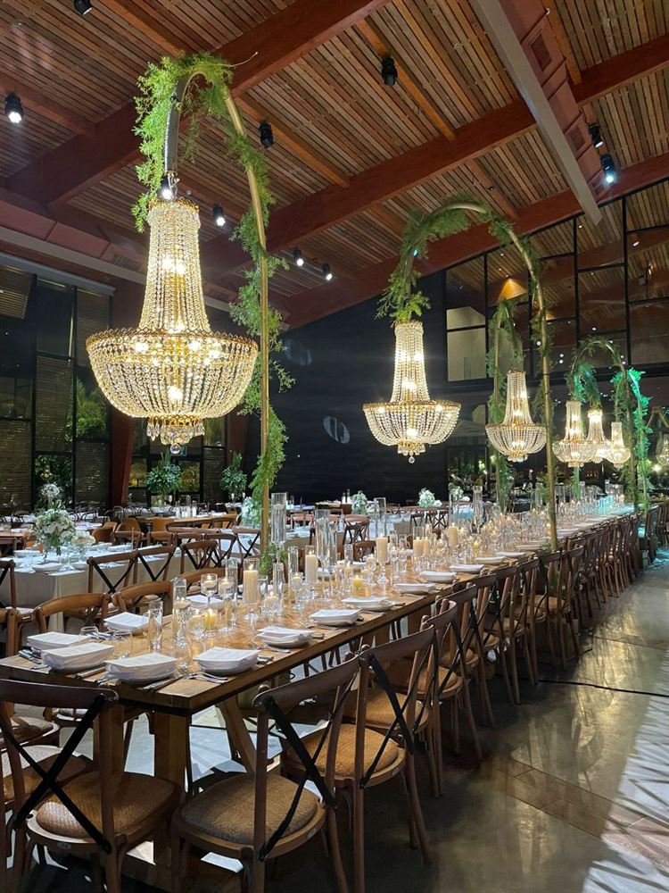 צילום- פיפל פוטוגרפי