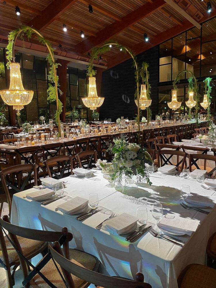 צילום- פיפל פוטוגרפי