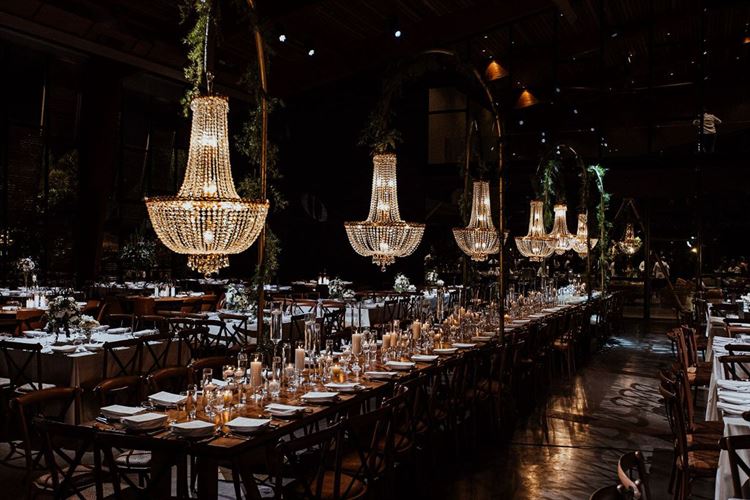 צילום- פיפל פוטוגרפי