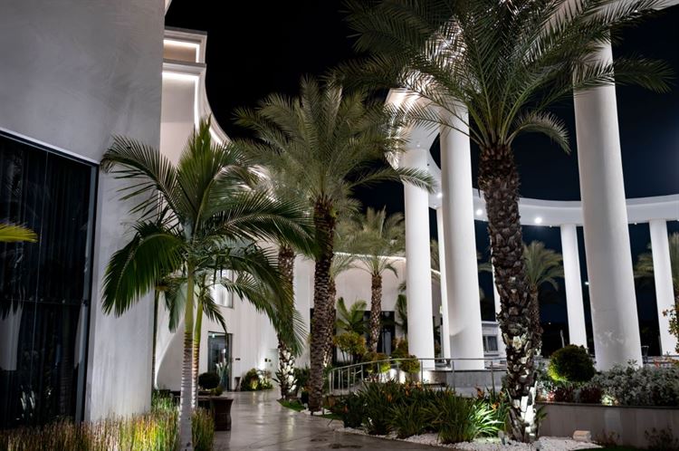 למה חתונות חורף הן הכי שוות שיש? למתחם האירועים אמארה יש את התשובה 4