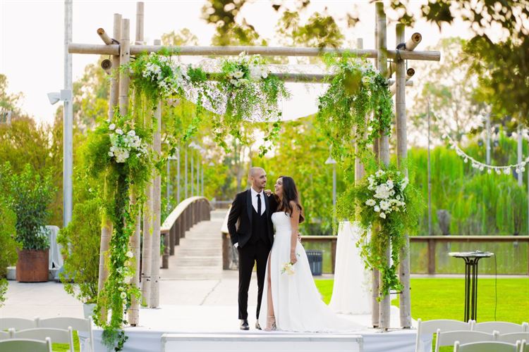 צילום: רון קובי