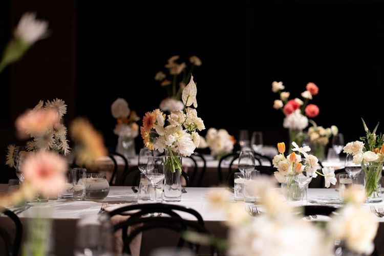 צילום: רון קובי