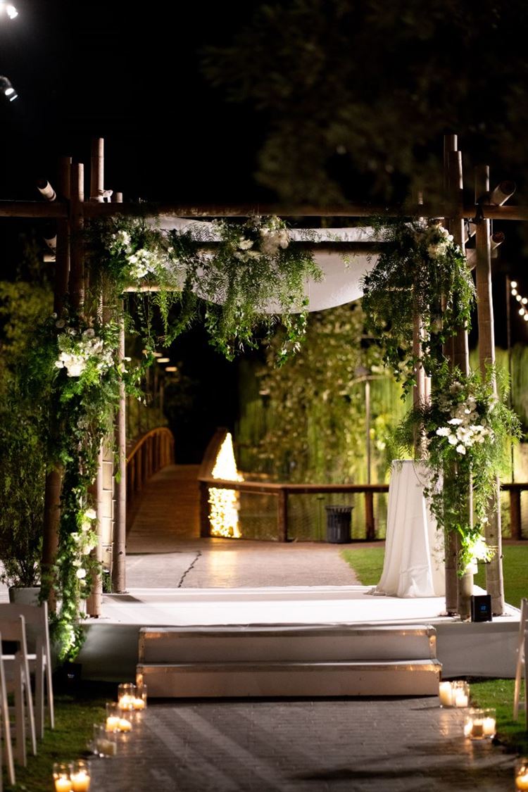 צילום: רון קובי