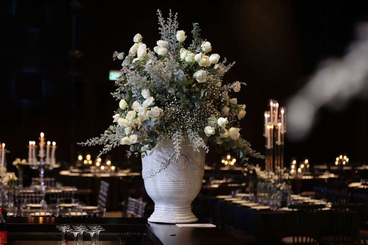 צילום: שי שושן גואטה