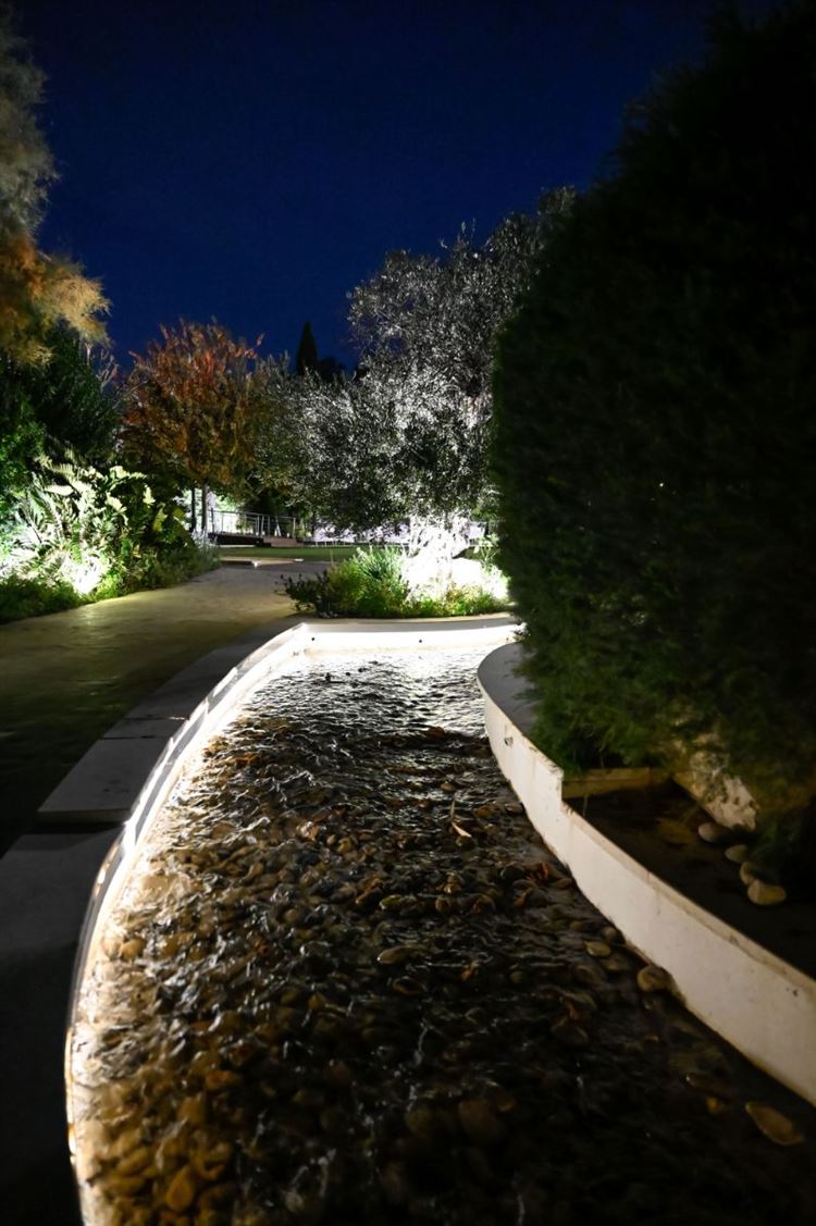 צילום: אלון גרובר