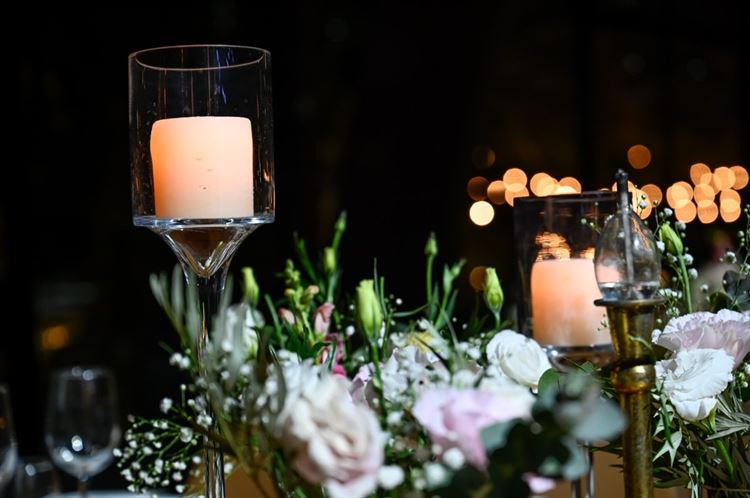 צילום: אלון גרובר