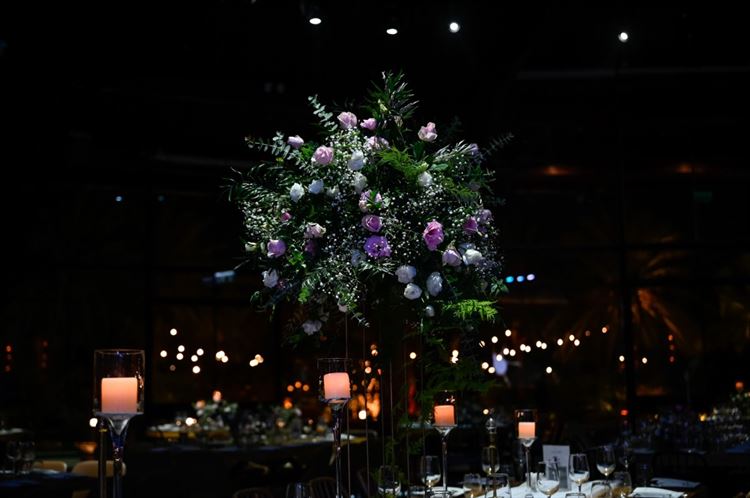 צילום: אלון גרובר